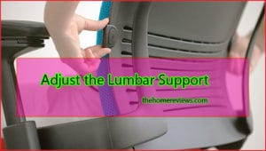 Adjust-the-Lumbar-Support