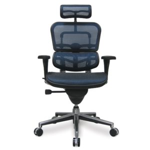 Ergohuman Eurotech Mesh Chair - 18.1A 22.9 Seat Height - High-Back Chair with Headrest - Blue - Blue