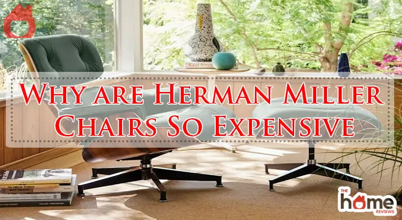 Why are Herman Miller Chairs So Expensive-Fi