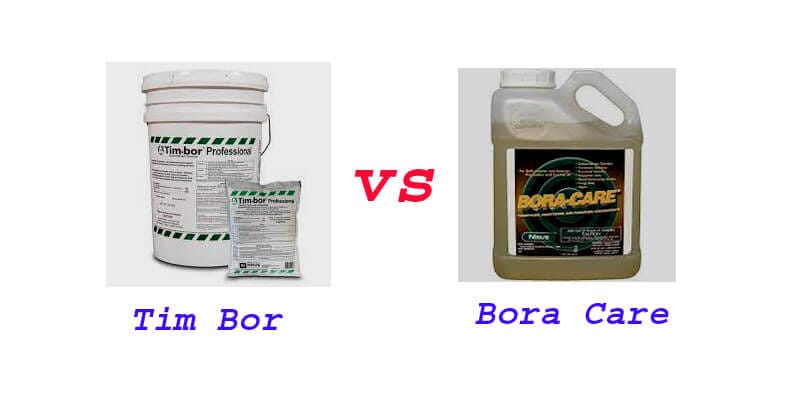 Tim Bor Vs Bora Care fi