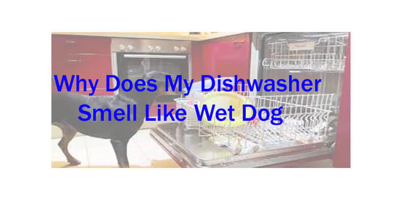 Why Does My Dishwasher Smell Like Wet Dog