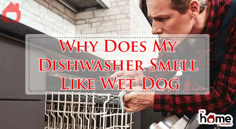 Why Does My Dishwasher Smell Like Wet Dog-Fi