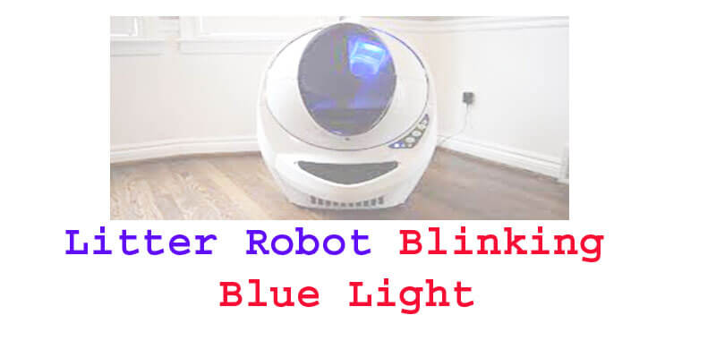 litter robot blinking blue light