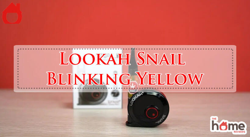 Lookah Snail Blinking Yellow-Fi