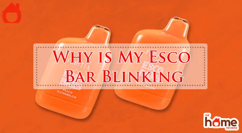 Why is My Esco Bar Blinking-Fi