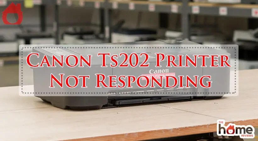 Canon Ts202 Printer Not Responding-Fi