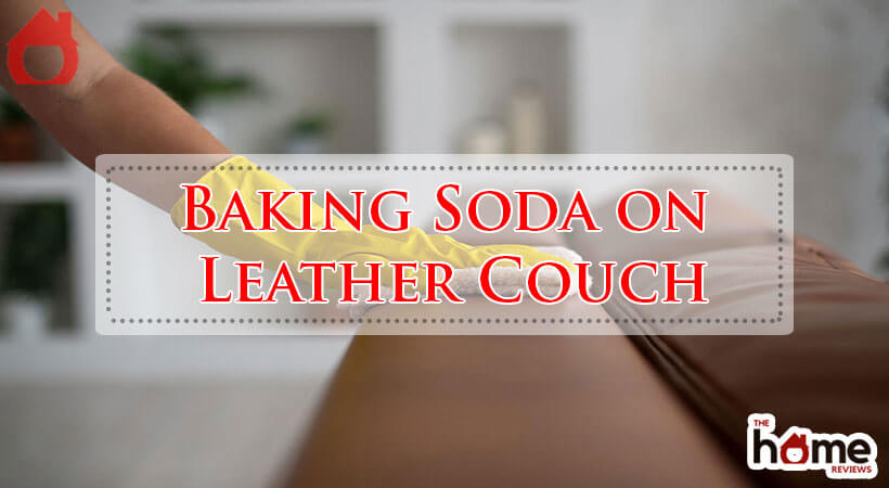 Baking Soda on Leather Couch-Fi