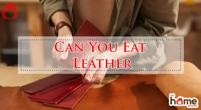 Can You Eat Leather-Fi