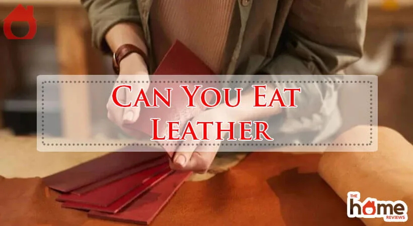 Can You Eat Leather-Fi