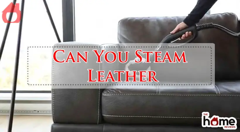 Can You Steam Leather-Fi