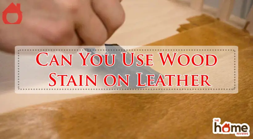 Can You Use Wood Stain on Leather-Fi
