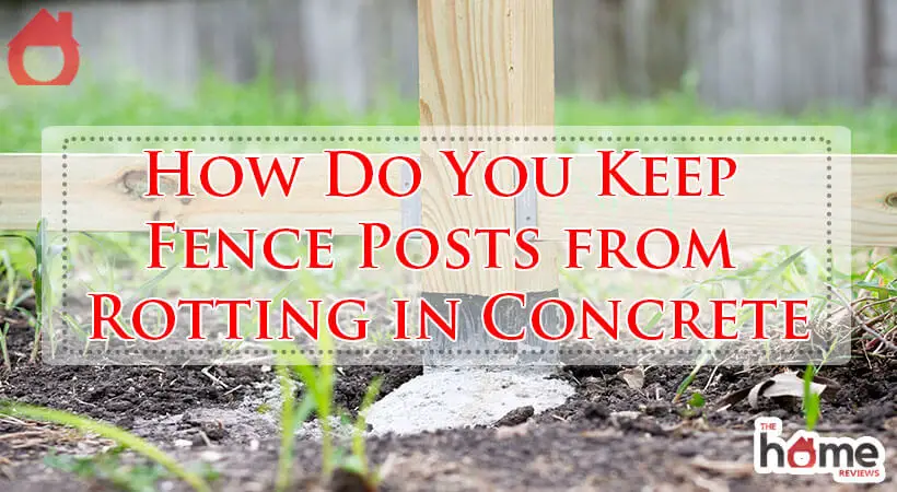 How Do You Keep Fence Posts from Rotting in Concrete-Fi