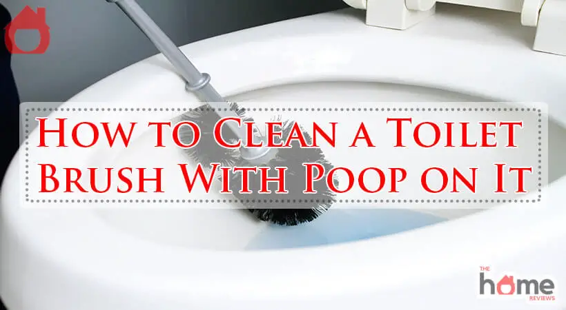 How to Clean a Toilet Brush With Poop on It-Fi