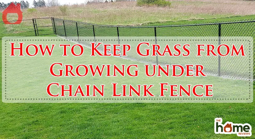 How to Keep Grass from Growing under Chain Link Fence-Fi