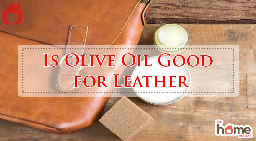Is Olive Oil Good for Leather-Fi