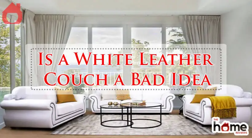 Is a White Leather Couch a Bad Idea-Fi