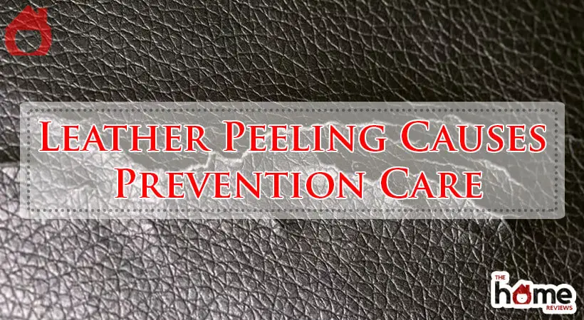Leather Peeling Causes Prevention Care-Fi