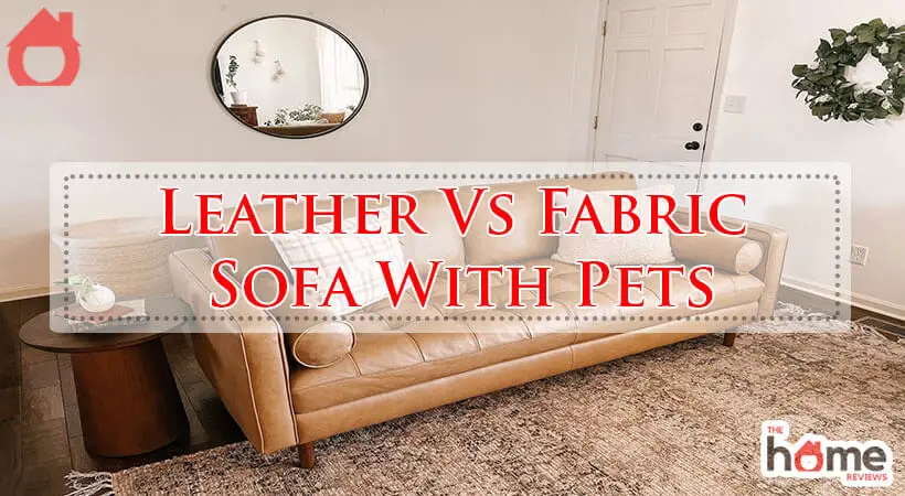 Leather Vs Fabric Sofa With Pets-Fi