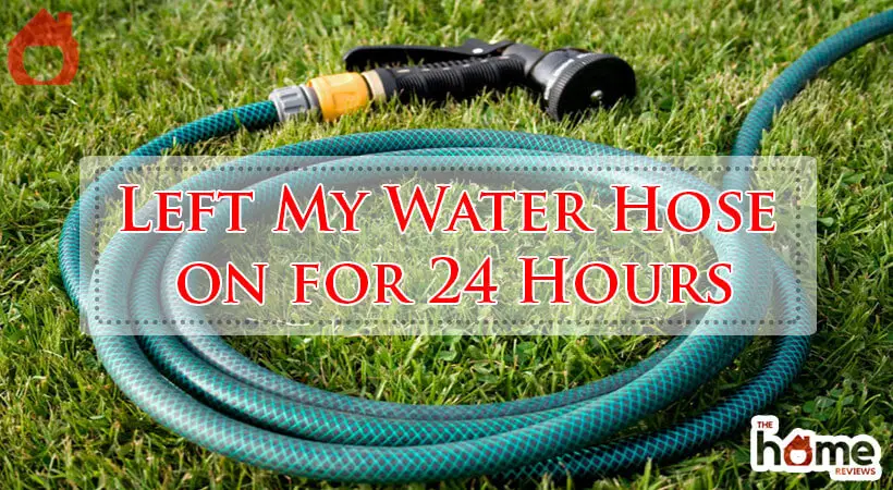 Left My Water Hose on for 24 Hours-Fi