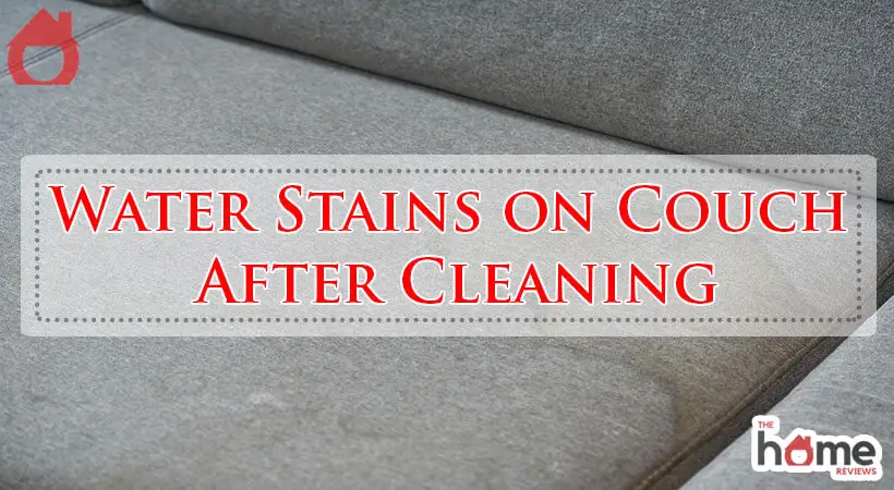 Water Stains on Couch After Cleaning-Fi