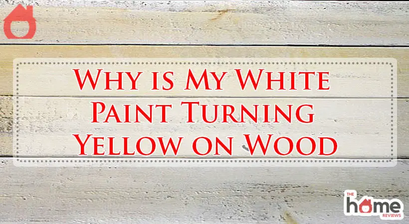 Why is My White Paint Turning Yellow on Wood-Fi