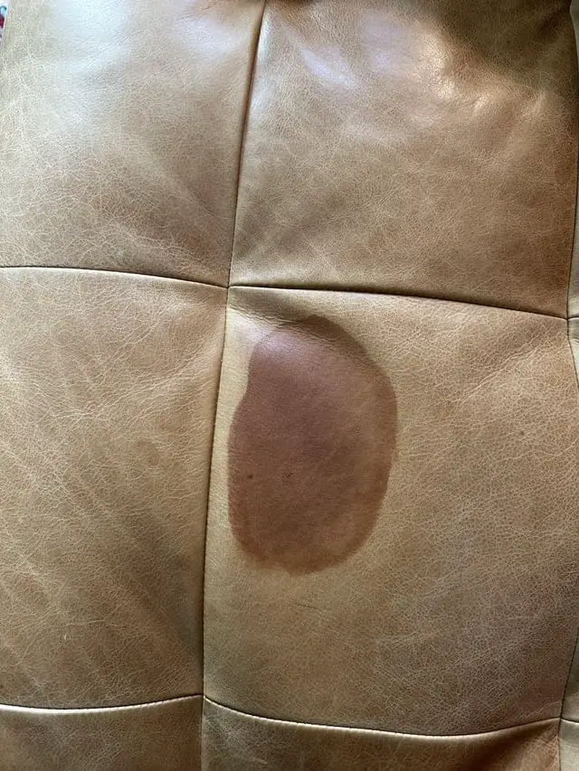 Baking Soda on Leather Couch