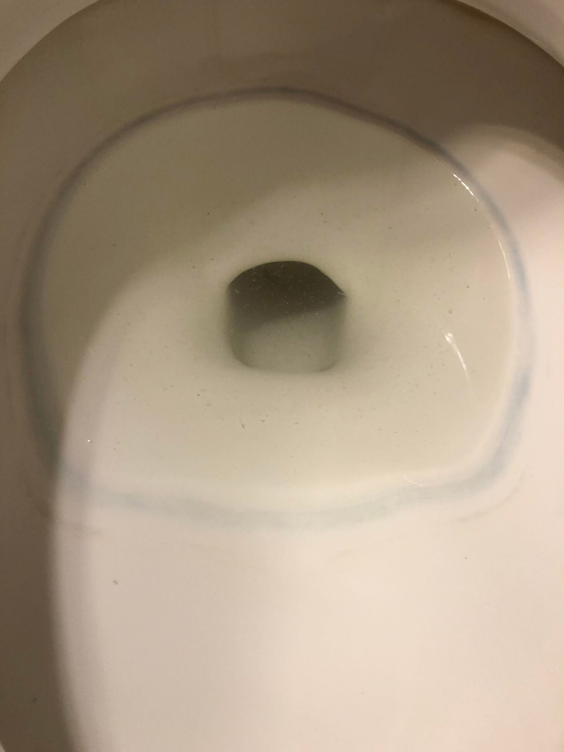 Blue Ring in Toilet Bowl