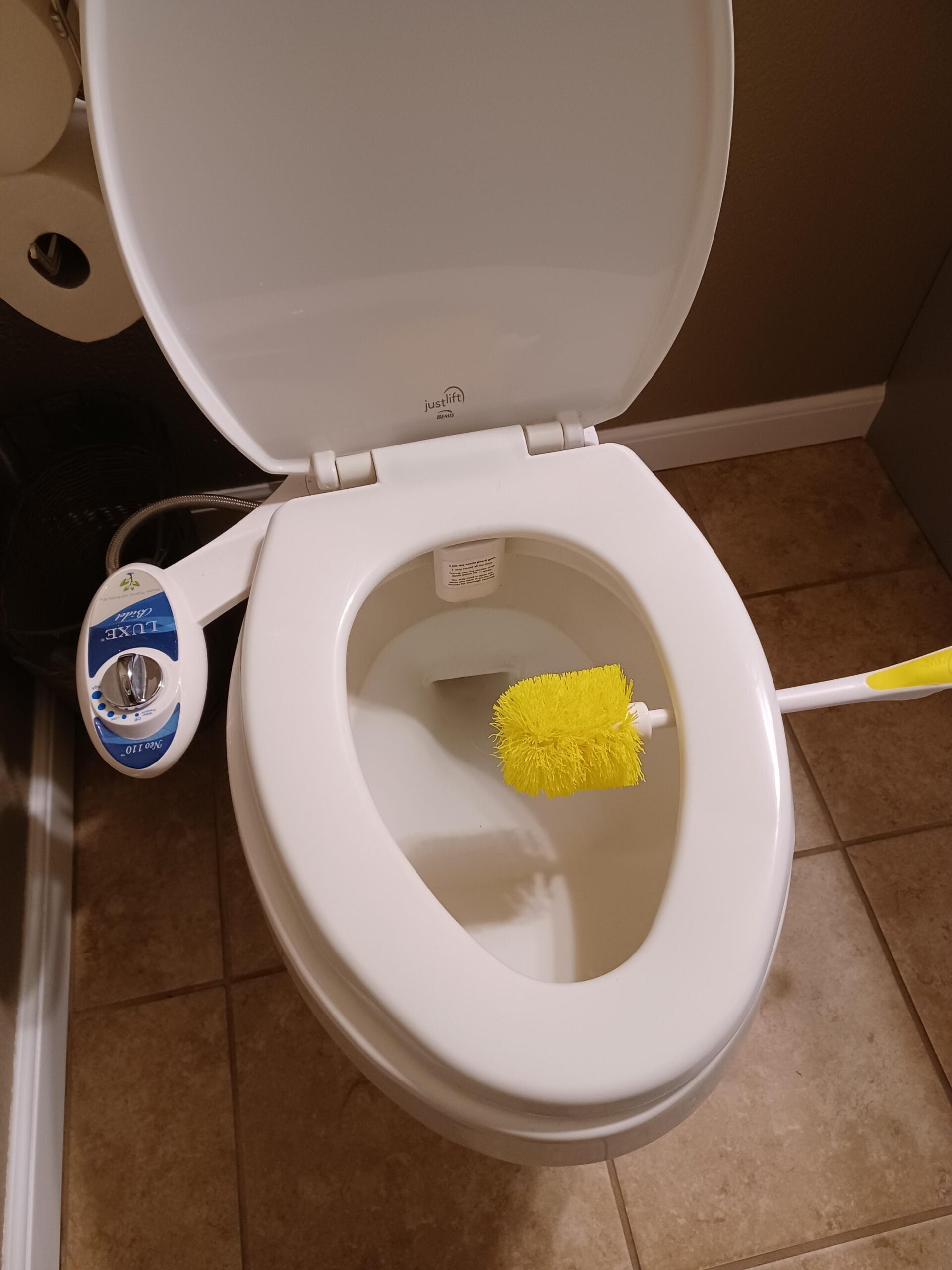 How to Clean a Toilet Brush With Poop on It