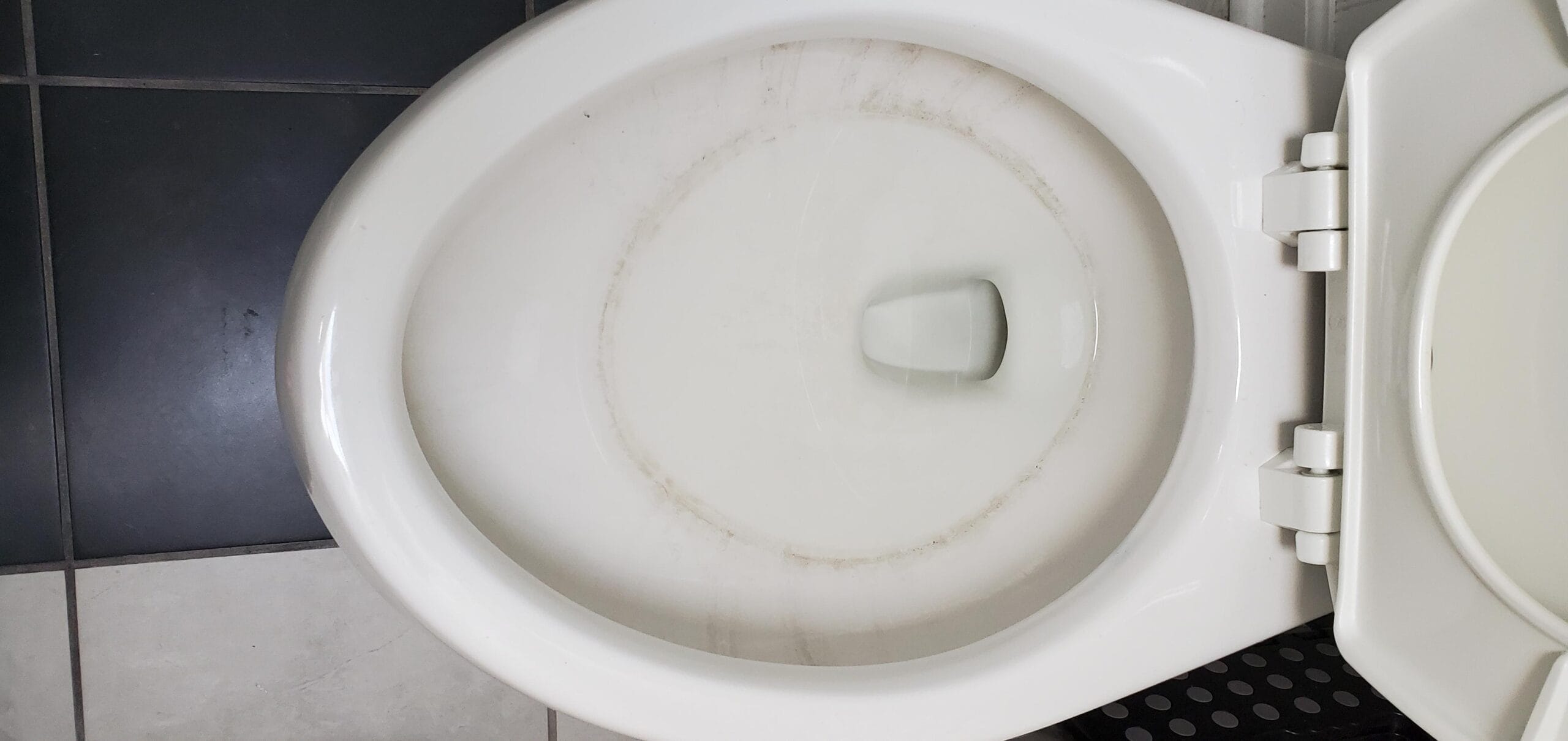 Remove Black Ring in Toilet