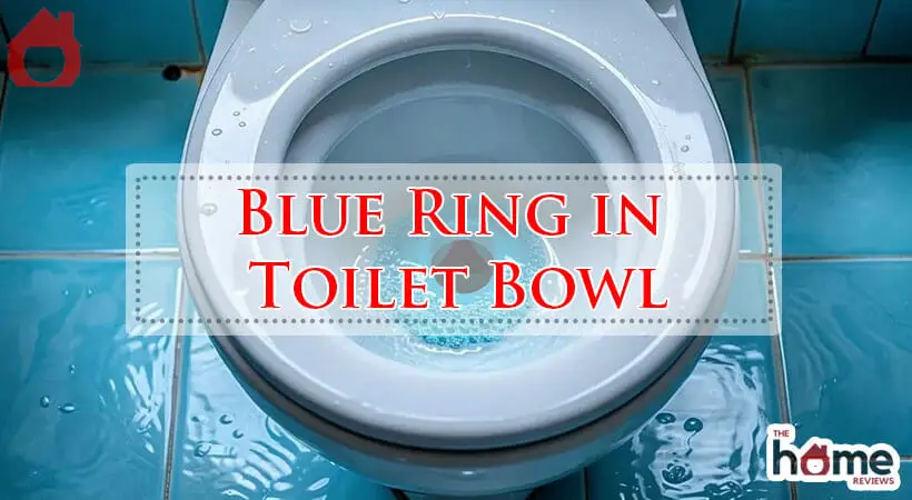 Blue Ring in Toilet Bowl-Fi