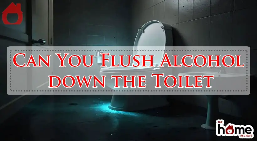 Can You Flush Alcohol down the Toilet-Fi