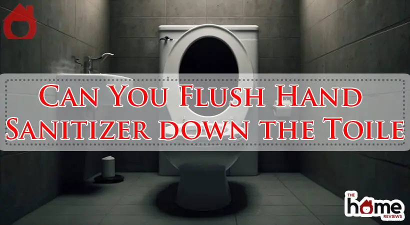 Can You Flush Hand Sanitizer down the Toile-Fi