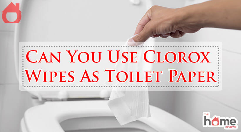 Can You Use Clorox Wipes As Toilet Paper-Fi