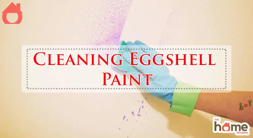 Cleaning Eggshell Paint-Fi