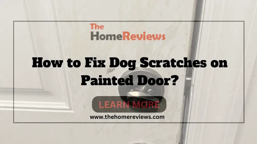 How to Fix Dog Scratches on Painted Door-FI