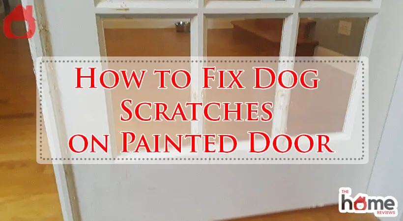 How to Fix Dog Scratches on Painted Door-Fi