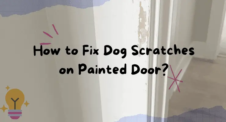 How to Fix Dog Scratches on Painted Door