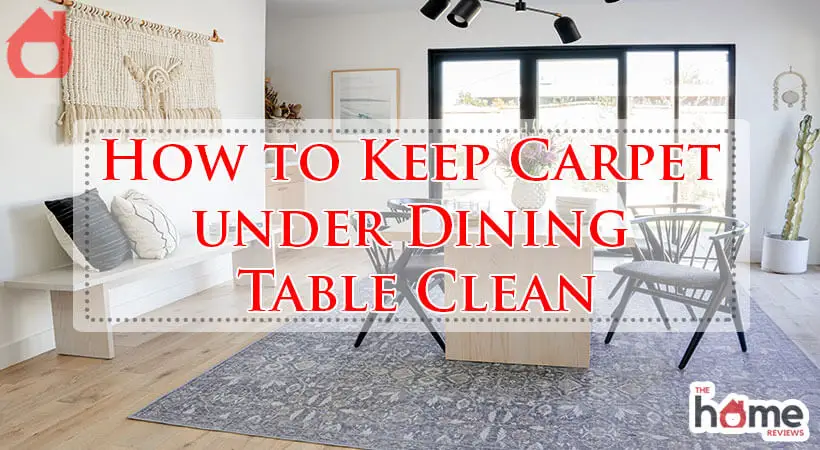 How to Keep Carpet under Dining Table Clean-Fi