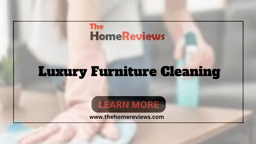 Luxury Furniture Cleaning-FI