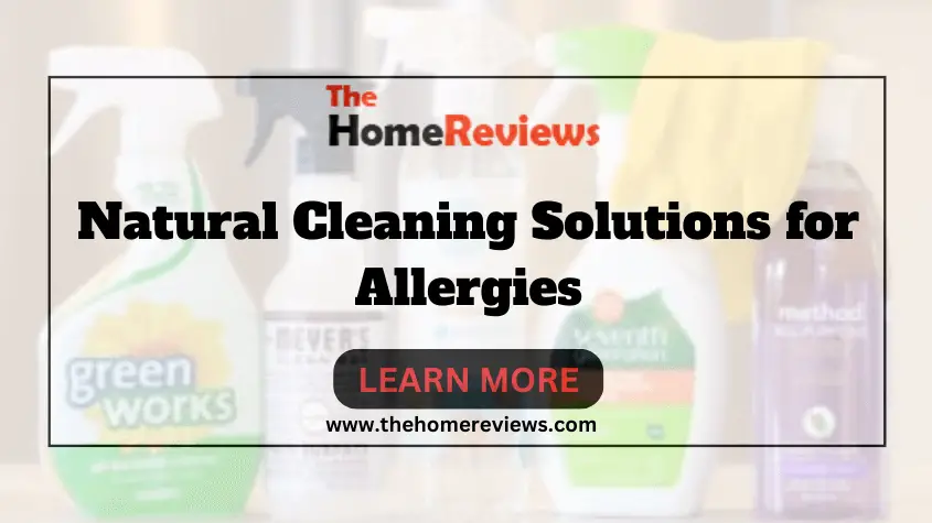 Natural Cleaning Solutions for Allergies-FI