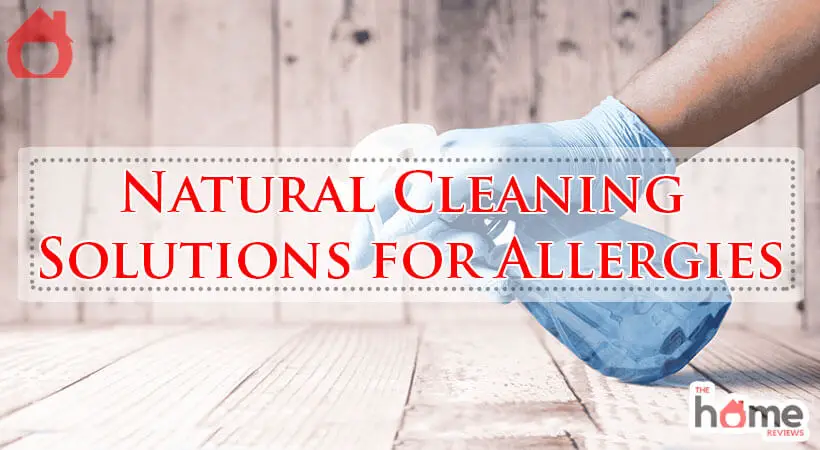 Natural Cleaning Solutions for Allergies-Fi