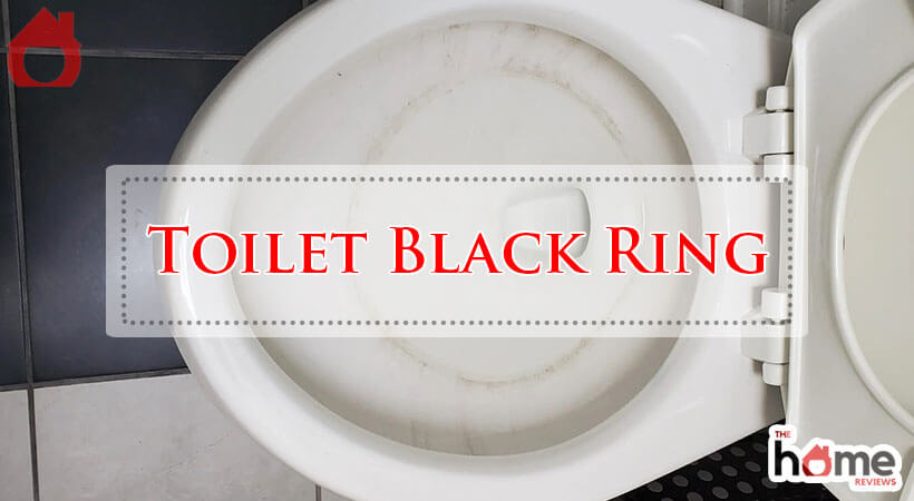 Toilet Black Ring-Fi