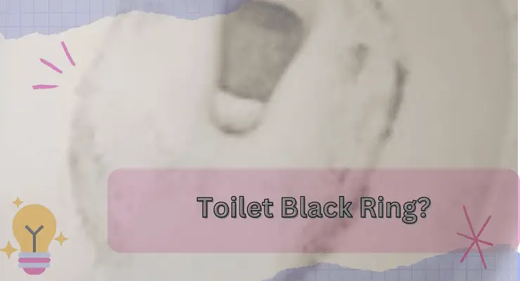 Toilet Black Ring