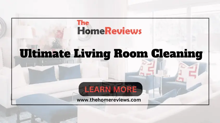 Ultimate Living Room Cleaning-FI