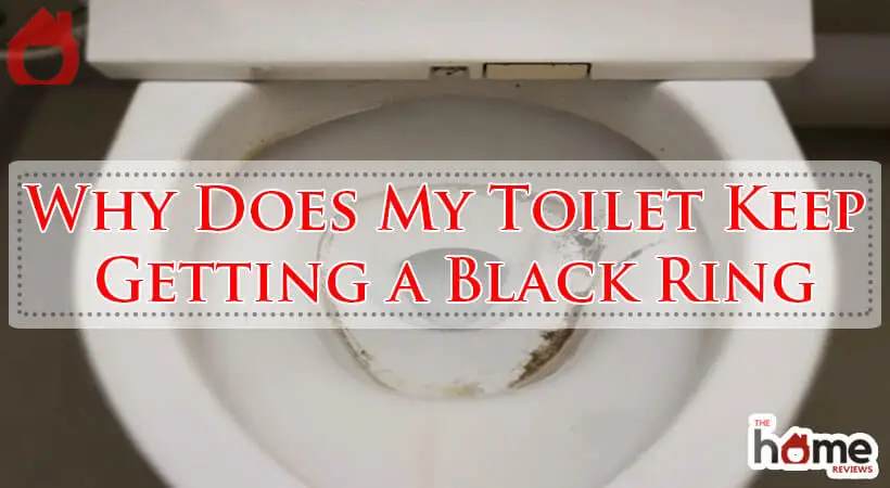 Why Does My Toilet Keep Getting a Black Ring-Fi