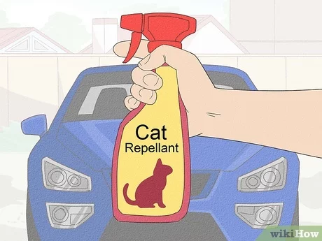 How to Keep Cats Out of Garage