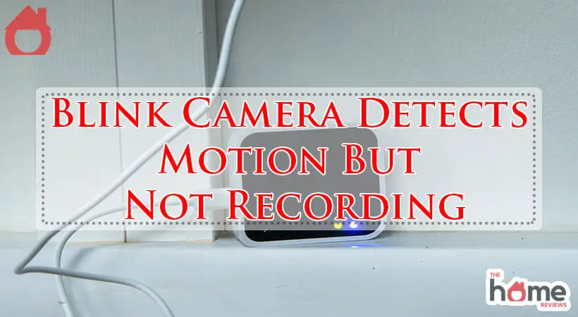 Blink Camera Detects Motion But Not Recording-Fi