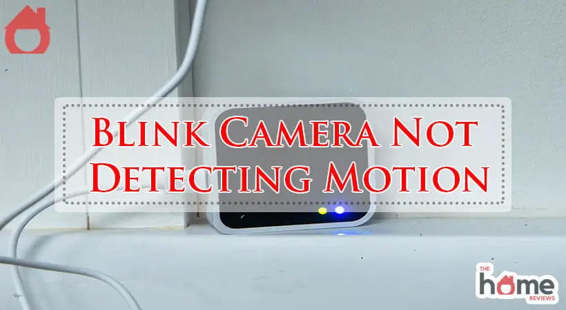 Blink Camera Not Detecting Motion-Fi