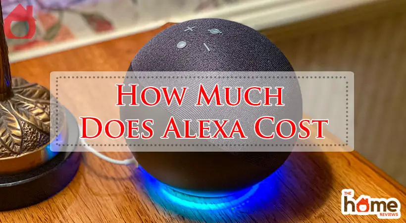 How Much Does Alexa Cost-Fi