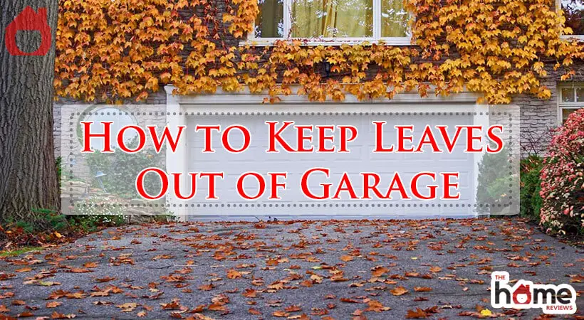 How to Keep Leaves Out of Garage-Fi